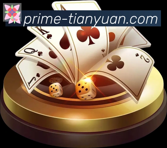 天元棋牌荣誉